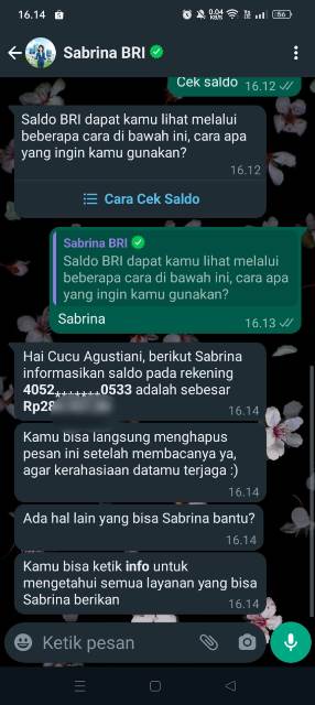 Cara Cek Saldo BRI Lewat WhatsApp, Mudah Dan Praktis! - Hallo GSM